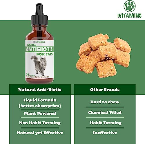 Natural Antibiotics for Cats | Cat Supplements | Cat Antibiotic | Cat Antibiotics | Cat Immune Support | Antibiotic for Cats | Cat Multivitamin | Multivitamin for Cats | 1 Pack: 30 Servings Total - Image 5
