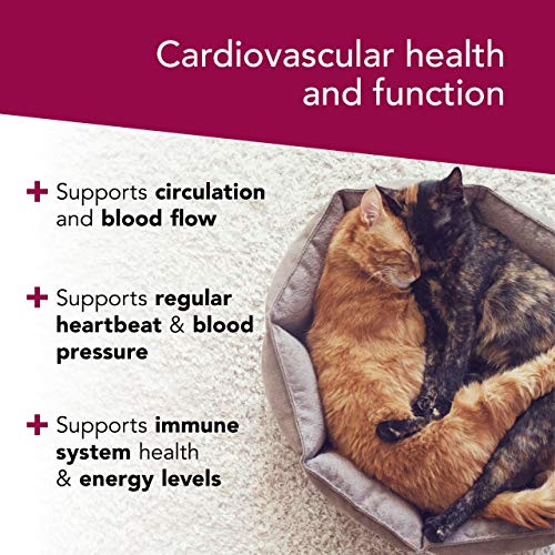 VetriScience Laboratories Cardio Strength, 90 Capsules - Supports Blood Flow, Immune System and Energy Levels for Dogs and Cats - Image 4